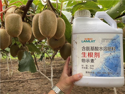 水溶肥，生根劑，微生物菌劑，伯示麥，拉姆拉