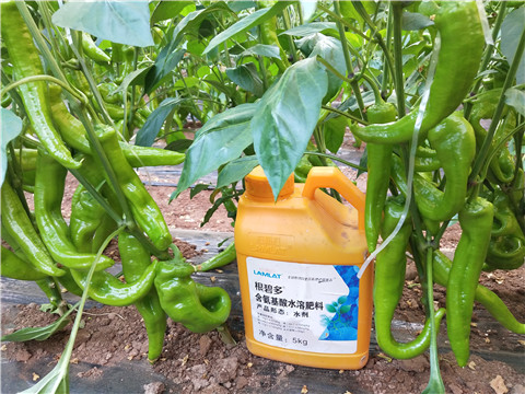 水溶肥，拉姆拉