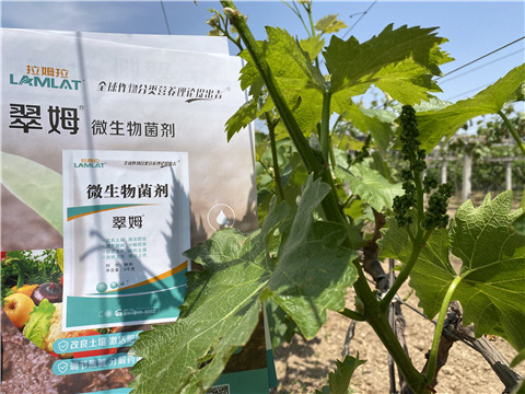 微生物菌劑，拉姆拉，翠姆
