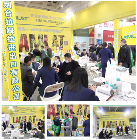 水溶肥，拉姆拉，翠姆