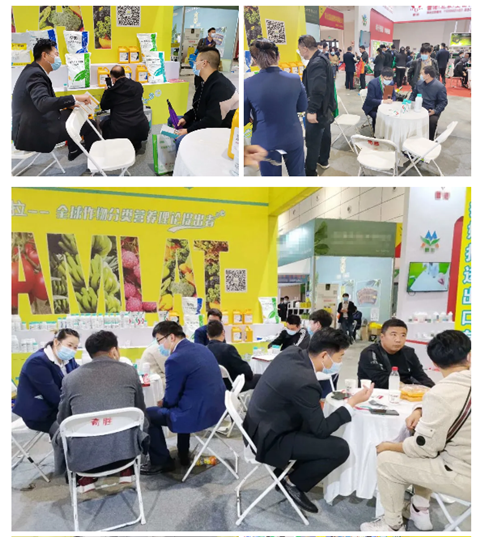 水溶肥，拉姆拉，翠姆