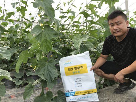 水溶肥，拉姆拉