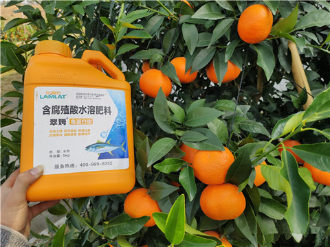 滴灌肥，拉姆拉，翠姆