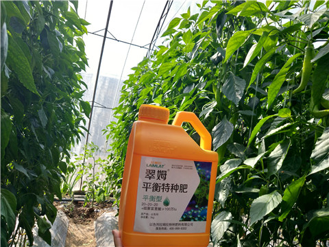 滴灌肥，拉姆拉，翠姆