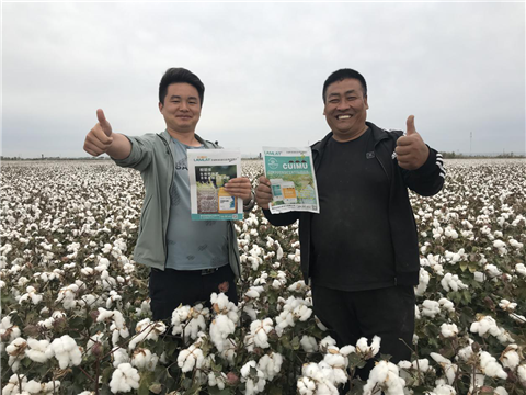 棉花，水溶肥，拉姆拉，翠姆