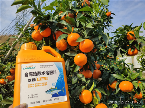 水溶肥，拉姆拉，翠姆
