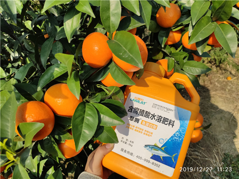 水溶肥，拉姆拉，翠姆