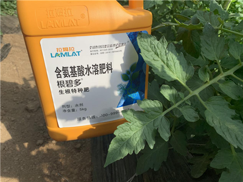 水溶肥，拉姆拉，翠姆