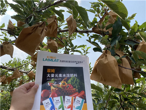 大量元素水溶肥，拉姆拉，翠姆