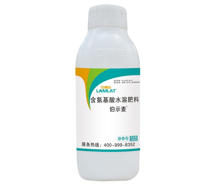 葉面肥，拉姆拉，伯示麥