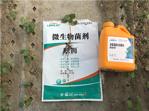 水溶肥，拉姆拉，翠姆