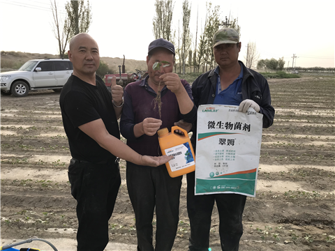 水溶肥，拉姆拉，翠姆