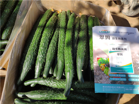 微生物菌劑，拉姆拉，翠姆