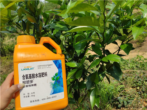 沖施肥，拉姆拉，翠姆
