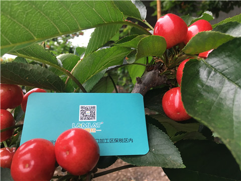 大量元素水溶肥，拉姆拉，翠姆