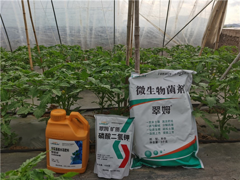 水溶肥，拉姆拉，翠姆