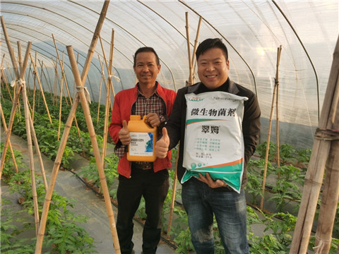 水溶肥，拉姆拉，翠姆