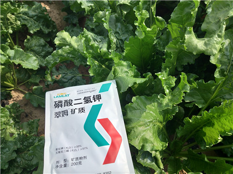 水溶肥，拉姆拉，翠姆