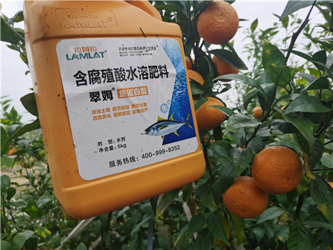 水溶肥，拉姆拉，翠姆