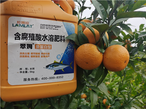 水溶肥，拉姆拉，翠姆