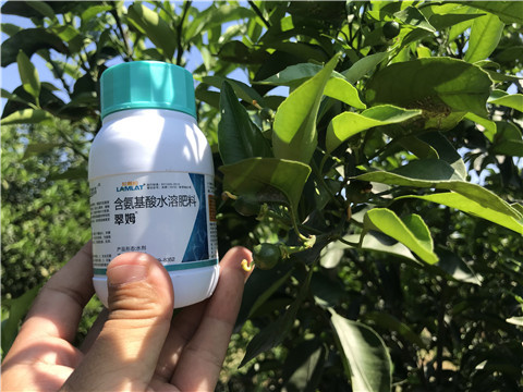葉面肥，拉姆拉，翠姆