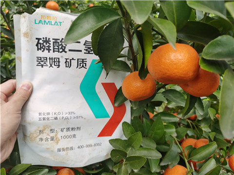 水溶肥，拉姆拉，翠姆