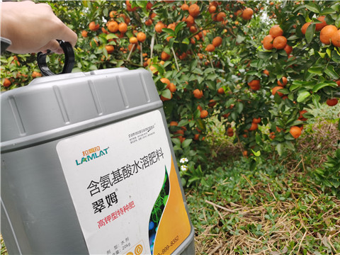 水溶肥，拉姆拉，翠姆