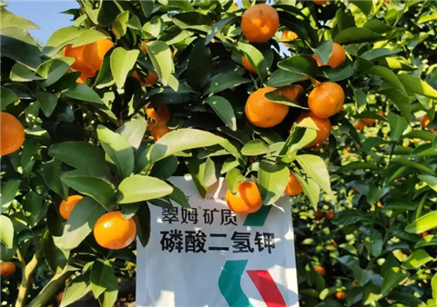 磷酸二氫鉀，拉姆拉，翠姆