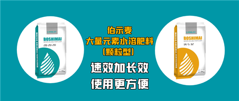 顆粒肥，拉姆拉，翠姆