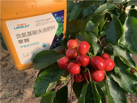 氨基酸水溶肥，拉姆拉，翠姆