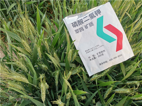 水溶肥，拉姆拉，翠姆