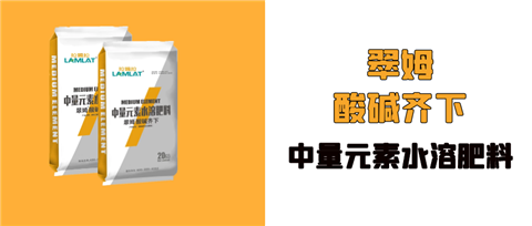 水溶肥，拉姆拉，翠姆
