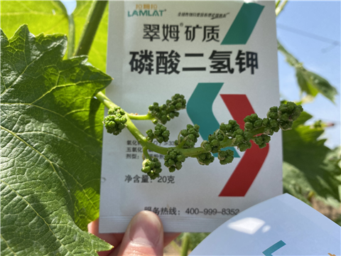 磷酸二氫鉀，拉姆拉，翠姆