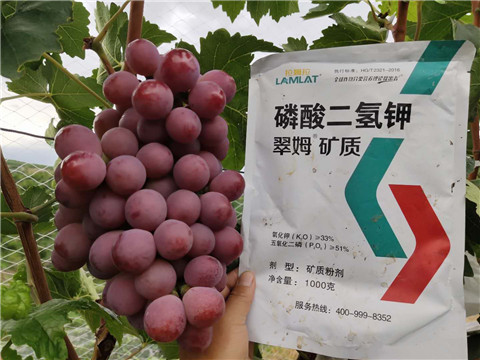磷酸二氫鉀，拉姆拉，翠姆