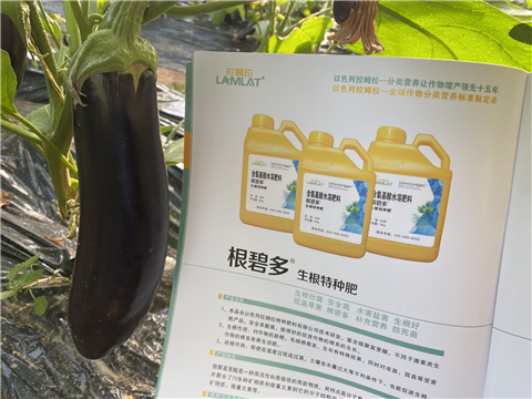 水溶肥，拉姆拉，翠姆