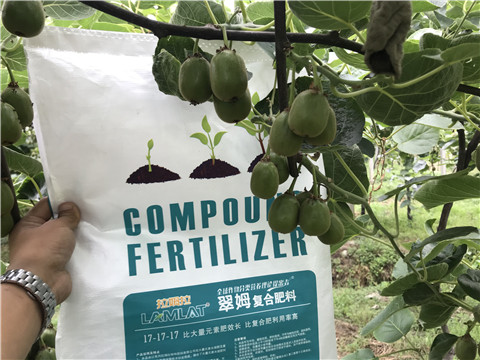 顆粒水溶肥，拉姆拉，翠姆