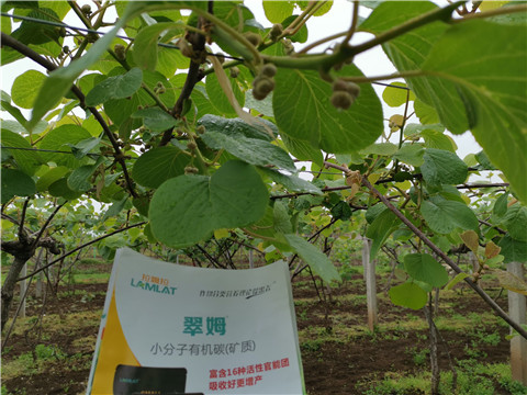 小分子有機(jī)碳，拉姆拉，翠姆