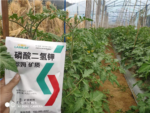 磷酸二氫鉀，拉姆拉，翠姆