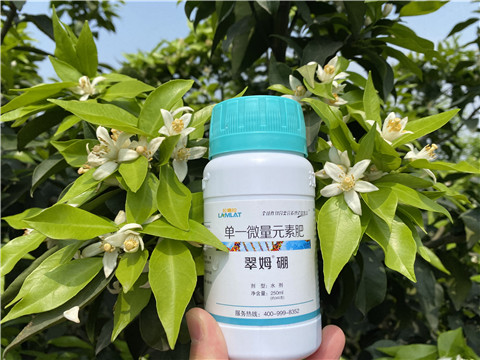 葉面肥，拉姆拉，翠姆