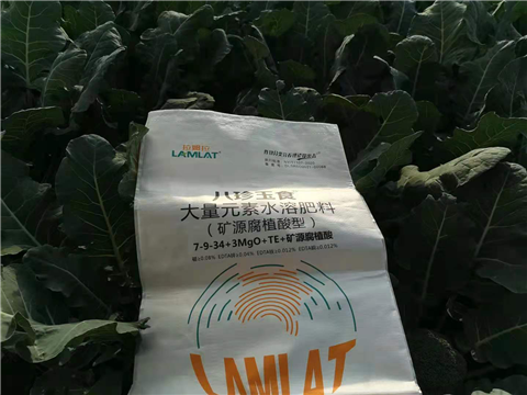 大量元素水溶肥，拉姆拉，翠姆