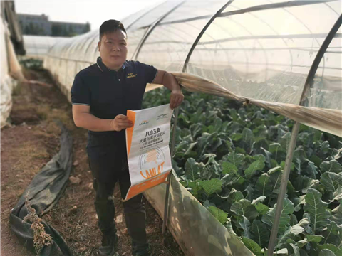 大量元素水溶肥，拉姆拉，翠姆