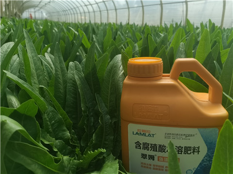 水溶肥，翠姆，拉姆拉