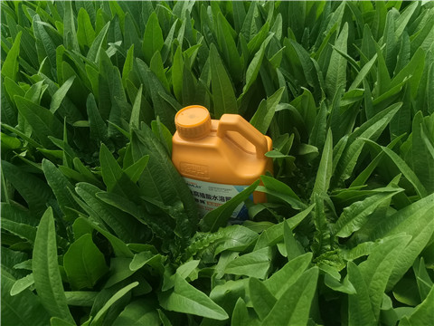 水溶肥，翠姆，拉姆拉
