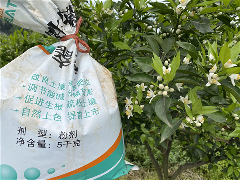 水溶肥，翠姆，拉姆拉
