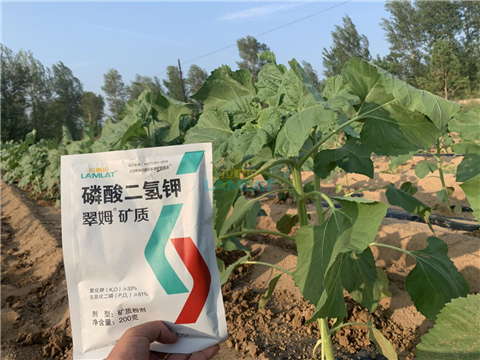 水溶肥，翠姆，拉姆拉