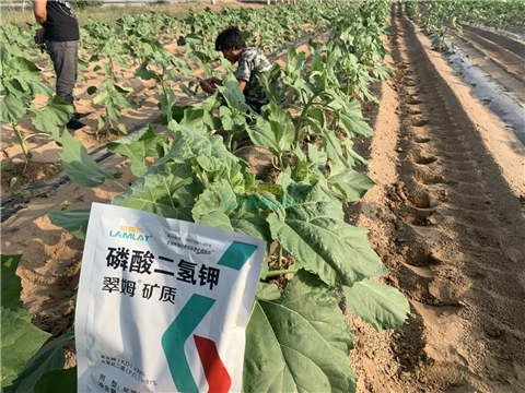 水溶肥，翠姆，拉姆拉