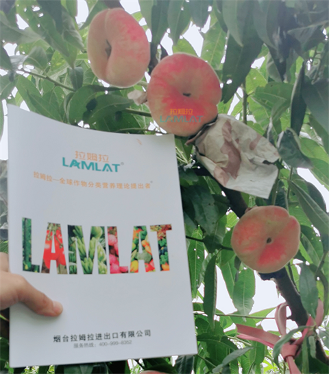 水溶肥，翠姆，拉姆拉