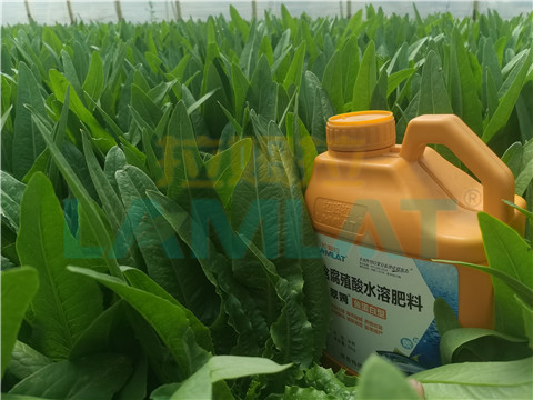 水溶肥，翠姆，拉姆拉