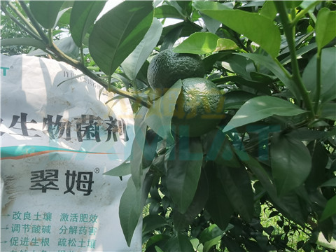 微生物菌劑，翠姆，拉姆拉