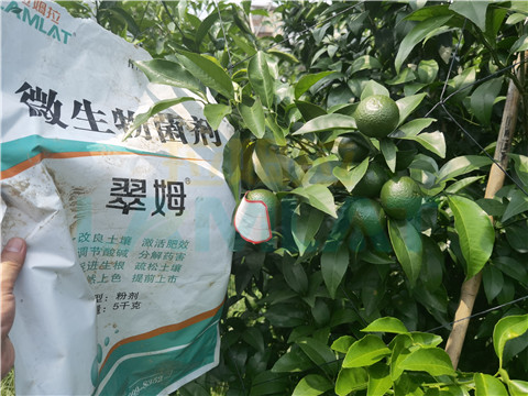 微生物菌劑，翠姆，拉姆拉